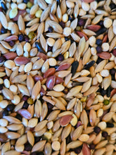 Load image into Gallery viewer, 5280 Canary Mix