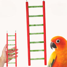 Load image into Gallery viewer, Pedi Ladder