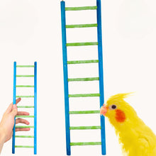 Load image into Gallery viewer, Pedi Ladder