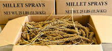 Load image into Gallery viewer, Spray Millet