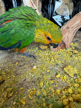 Load image into Gallery viewer, Flight Fuel Freeze Dried Nutrition Biscuits