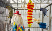 Load image into Gallery viewer, Adult Indian Ringneck Pair