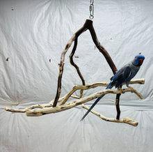 Load image into Gallery viewer, Hanging Manzanita Play Perch
