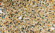 Load image into Gallery viewer, 5280 Cockatiel+ Mix