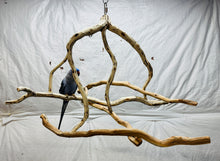 Load image into Gallery viewer, Hanging Manzanita Play Perch