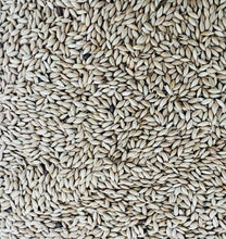 Load image into Gallery viewer, 5280 Canary Seed