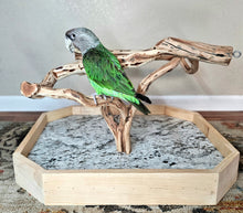 Load image into Gallery viewer, Manzanita Table Top Stand - Macaw