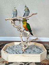 Load image into Gallery viewer, Manzanita Table Top Stand - Small