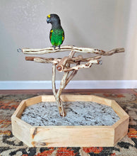 Load image into Gallery viewer, Manzanita Table Top Stand - Small