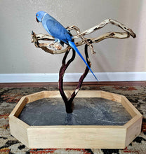 Load image into Gallery viewer, Manzanita Table Top Stand - Small