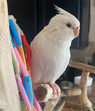 Load image into Gallery viewer, Deposits