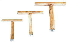 Load image into Gallery viewer, Dragonwood T Perchs