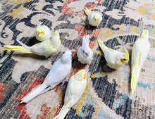 Load image into Gallery viewer, Deposits