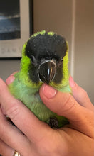 Load image into Gallery viewer, Deposits