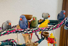 Load image into Gallery viewer, Deposits