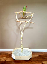Load image into Gallery viewer, Manzanita Floor Stand - Small