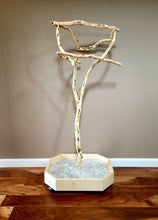 Load image into Gallery viewer, Manzanita Floor Stand - Small
