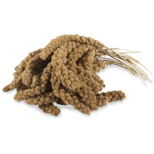 Load image into Gallery viewer, Spray Millet