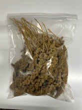 Load image into Gallery viewer, Spray Millet