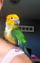 Load image into Gallery viewer, Deposits