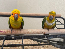 Load image into Gallery viewer, Deposits