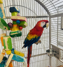 Load image into Gallery viewer, Female Scarlet Macaw
