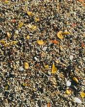 Load image into Gallery viewer, 5280 Small Hookbill+ Mix
