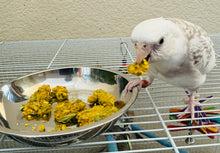 Load image into Gallery viewer, Flight Fuel Freeze Dried Nutrition Biscuits
