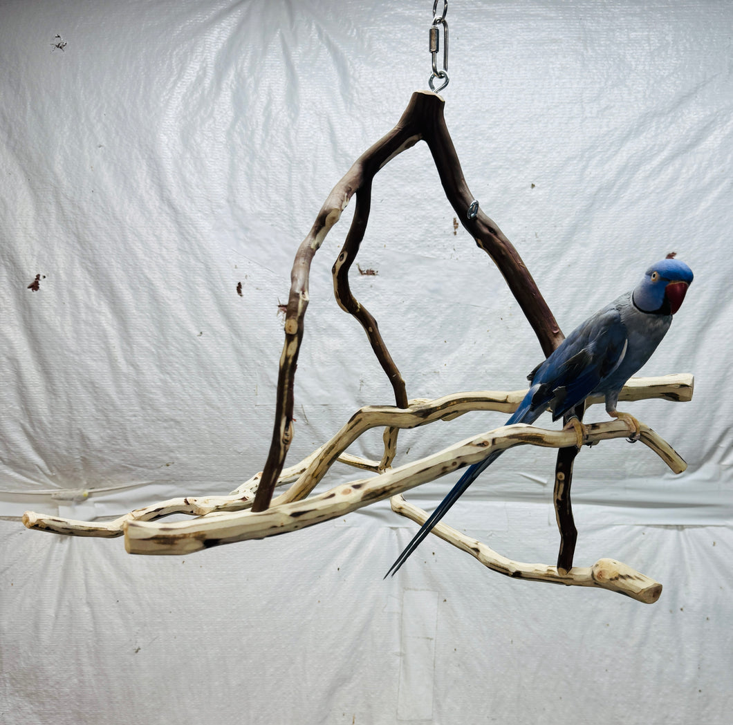 Hanging Manzanita Play Perch