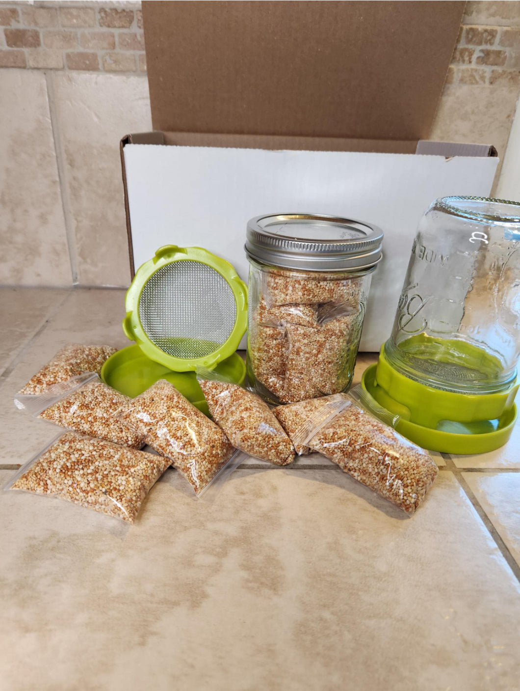 Easy Sprouting Kit | Pint Size