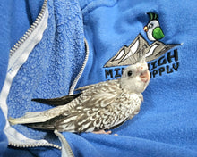 Load image into Gallery viewer, White Face Cockatiel Baby
