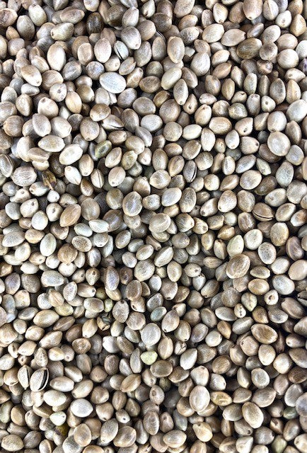 Hemp Seed