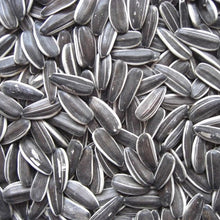 Load image into Gallery viewer, Striped Sunflower Seeds Medium/Large
